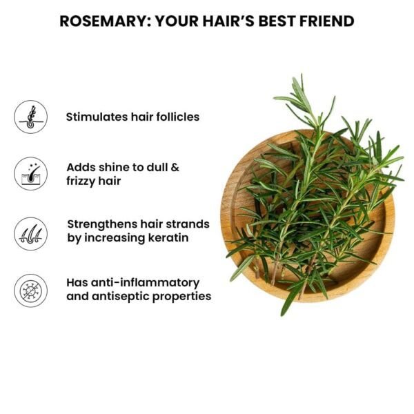 ThriveCo Rosemary Water Hair Spray | With 100% Natural Rosemary Extract, Rice Water & Hyaluronic Acid | For Hair Growth, Hair Fall Control, Hair... - Image 3